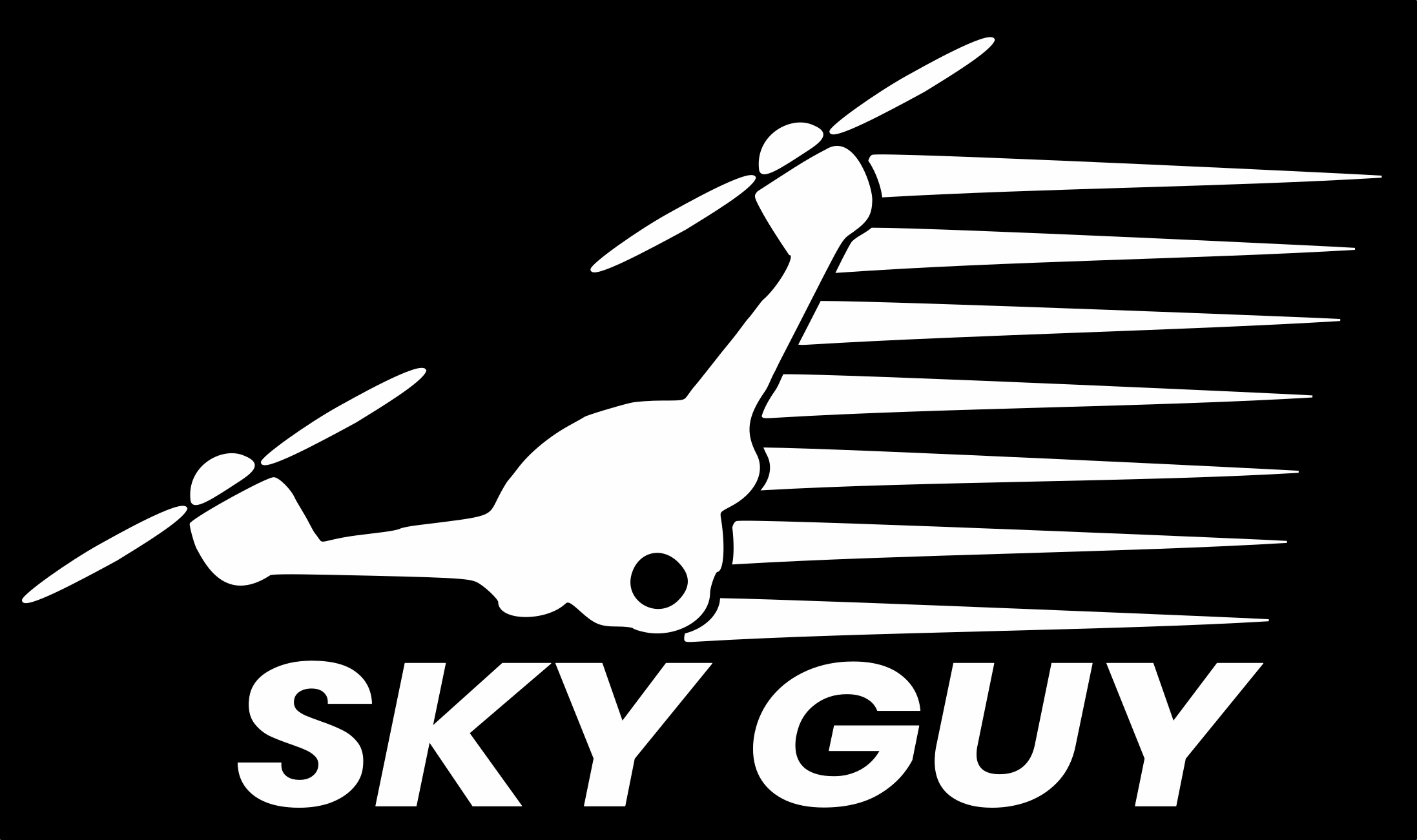 Sky Guy Drone Services